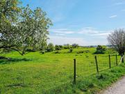 Top Adelsö