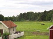 Top Hovenäset