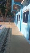 Top Linamon Top Linamon