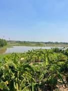 Top Ninh Binh