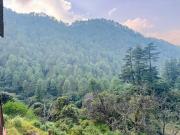 Top Kanatal