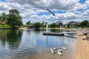 Top Gold Coast