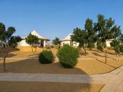 Top Jaisalmer