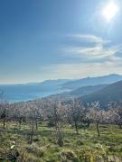 Top Borgio Verezzi