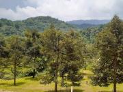 Top Ban Bung Mai