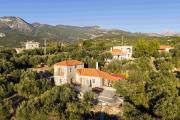 Top Verga Kalamata