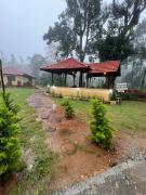 Top Hanbal