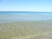 Top Porto Palo