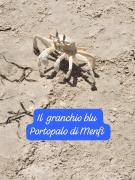 Top Porto Palo