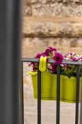 Top Gravina in Puglia