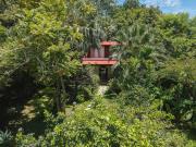 Top Montezuma