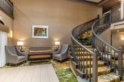 Top Sherman Top Sherman