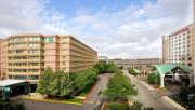 Top Rosemont