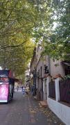Top Belgrade Top Belgrade