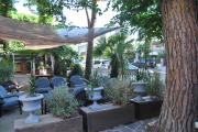 Top Milano Marittima