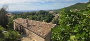 Top Cingoli