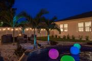 Top Palm Harbor