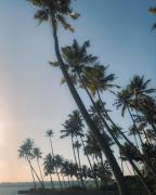 Top Kollam Top Kollam