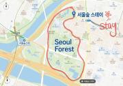 Seoul Soup Stay