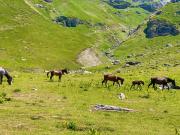 Korabi Mountain Camping