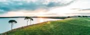 Top Camperdown