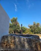 Top Ostuni