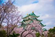 Top Nagoya Top Nagoya