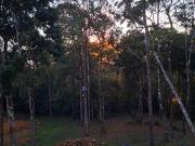 Mount Forestville, Altos de Cerro Azul