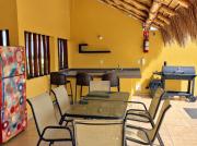 Top Manzanillo