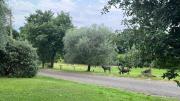 B&B Ernestine Family Home e "La Casa in collina"