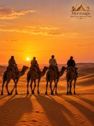 Top Merzouga Top Merzouga