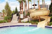 Top Orlando