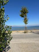 Top Pogradec