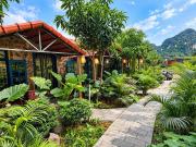 Top Ninh Binh