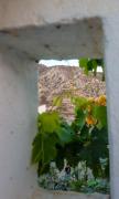 Top Taghazout