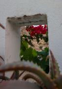 Top Taghazout