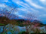 Top Hà Giang