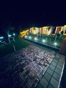 Top Wayanad