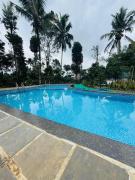 Top Wayanad