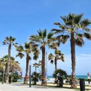 Torrevieja CityCenter Playa Cura & Locos 6min walk Apartment