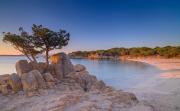 Top Arzachena