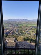 Top Artena
