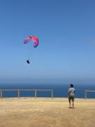 Top Budens