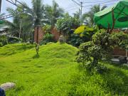 Top Trà Vinh