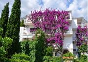 Apartments Josip II