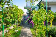 Apartment Serda