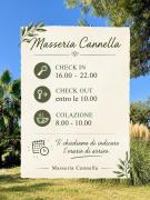Top Lesina