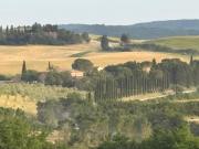 Top Siena
