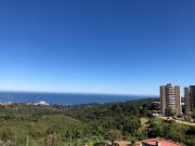 Top Viña del Mar