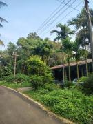 Top Mandrem